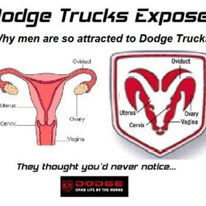 Dodge Genitals