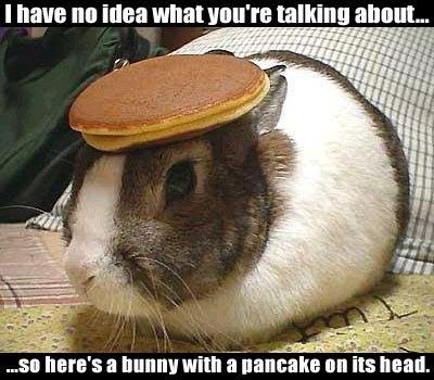 bunny+%2B+pancake.jpg