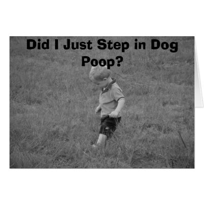 did_i_just_step_in_dog_poop_card-p137182139291735882q53o_400.jpg