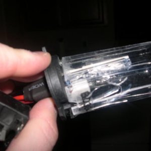 HID Smashed Bulb 001