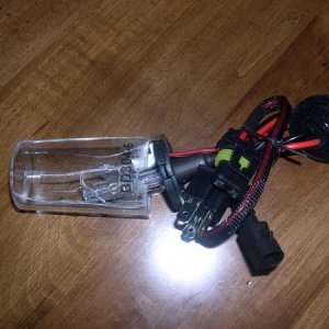 HID Smashed Bulb 002