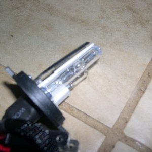 HID Smashed Bulb 003