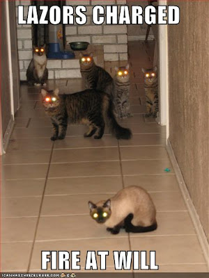 funny-pictures-lasers-charged-cats.jpg