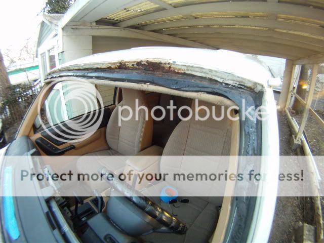 windshieldmolding.jpg
