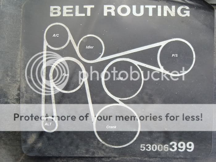 Belt1992.jpg
