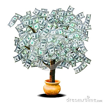 money-tree-thumb13719610.jpg
