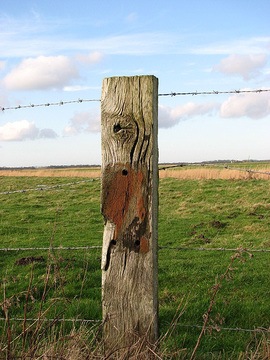 A_well-weathered_fence_post_-_geograph.org.uk_-_666453.jpg